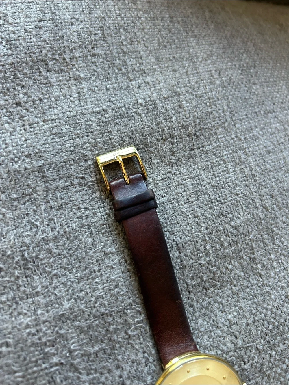 Skagen Gold Dial Brown Leather Strap Minimalist Watch
